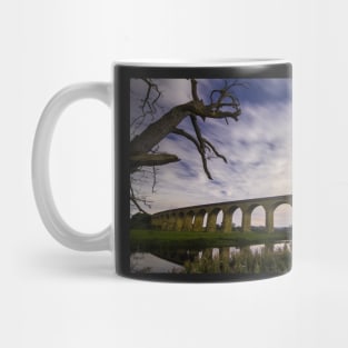 Arthington Viaduct over the River Wharfe Mug